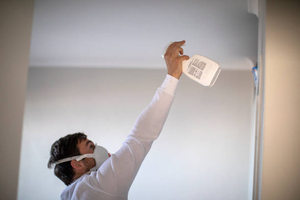 Best Mold Testing  in South Yarmouth, MA