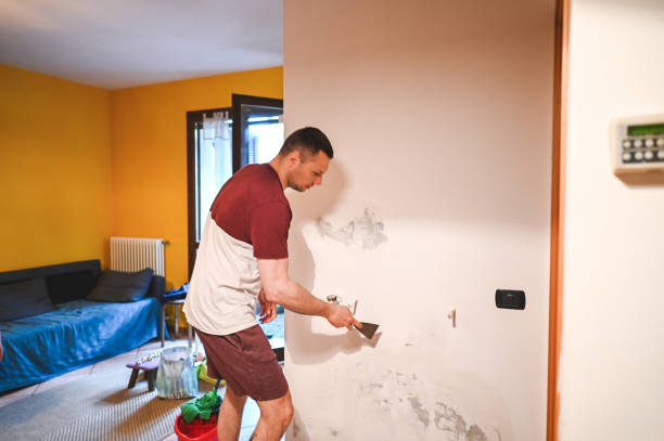 Best Mold Testing  in South Yarmouth, MA